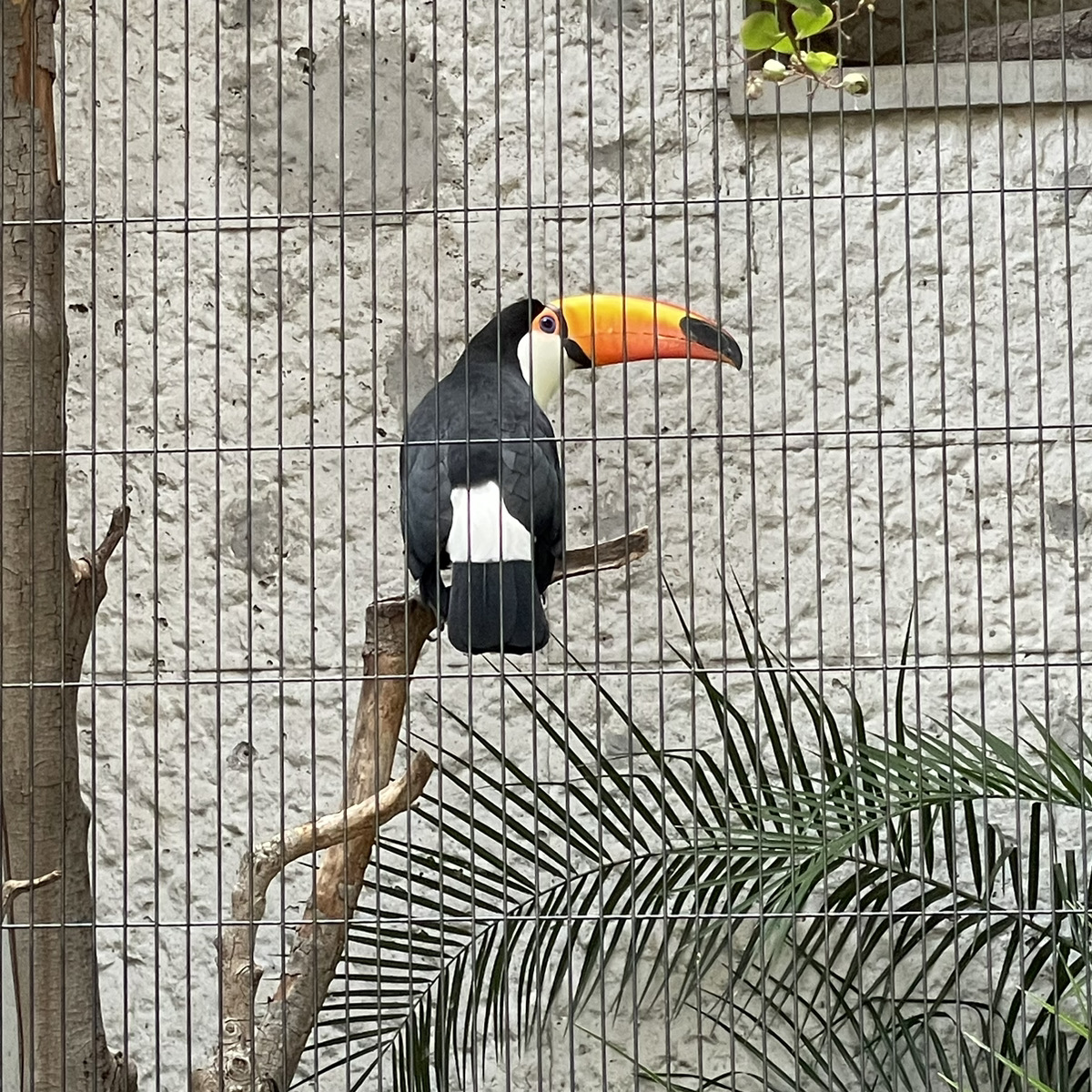 上野動物園