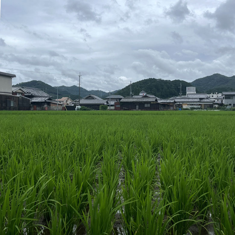 兵庫県播州地方